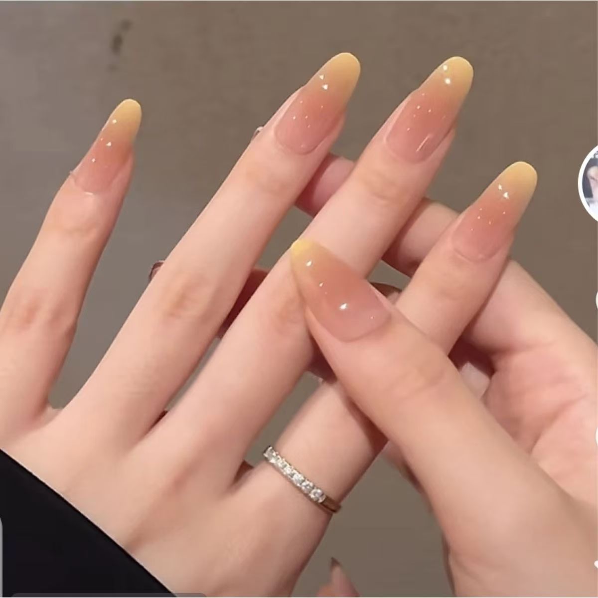 The Everyday Edit | Daily Wear Press-On Nails
